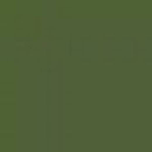 CZECH REPUBLIC C24L OLIVE GREEN 5220 ENAMEL 14ml