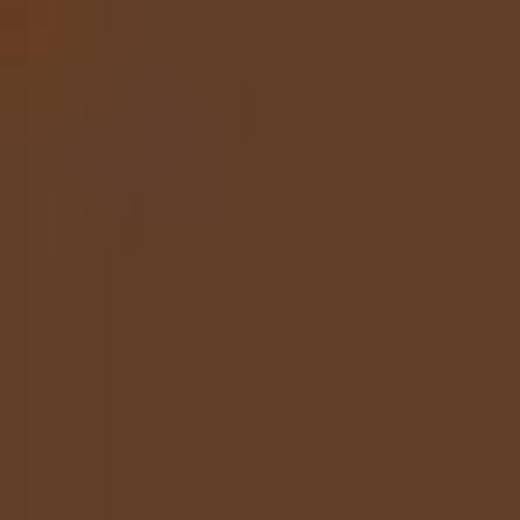 GERMANY N22M RED BROWN ENAMEL 14ml