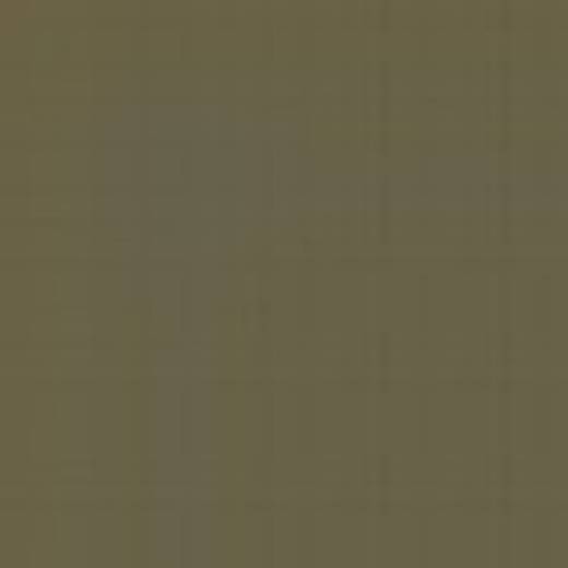 GERMANY N35M OLIVE DAK ENAMEL 14ml