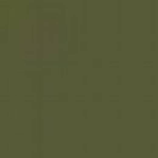 CZECH REPUBLIC C4P LIGHT KHAKI ENAMEL 14ml