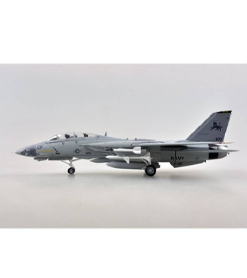1:72 F-14D VF-213