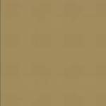 PATINATOR WEATHERING POWER N21 SAND YELLOW