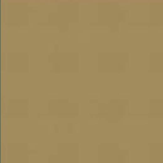 PATINATOR WEATHERING POWER N21 SAND YELLOW