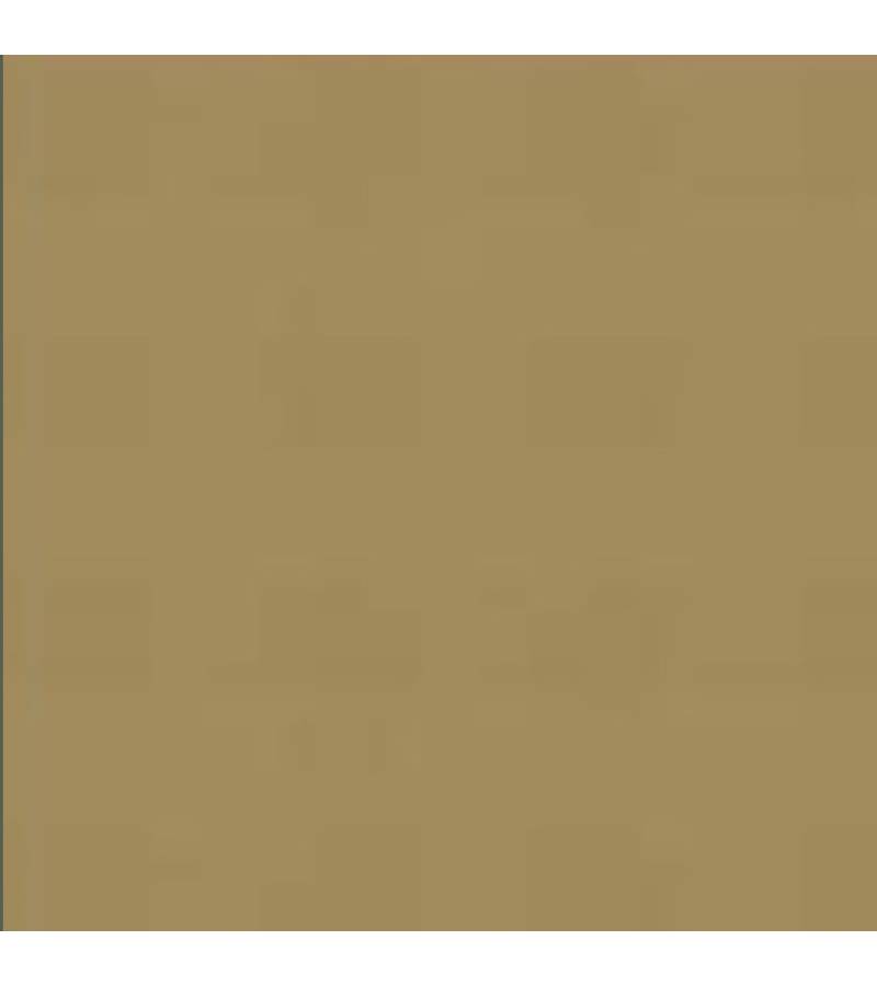 PATINATOR WEATHERING POWER N21 SAND YELLOW