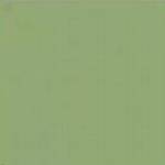 POLAND P10P NAVY GREEN ACYRLIC 10ml