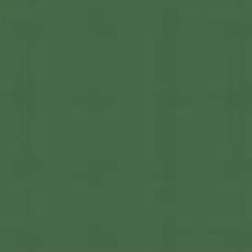 PATINATOR WEATHERING POWER PA15 FOREST GREEN