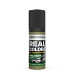 REAL COLOR US INTERIOR YELLOW GREEN 17ml