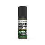 REAL COLOR SLATE NO.34 (BS381) 17ml