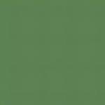 PATINATOR WEATHERING POWER PA09 GRASS GREEN