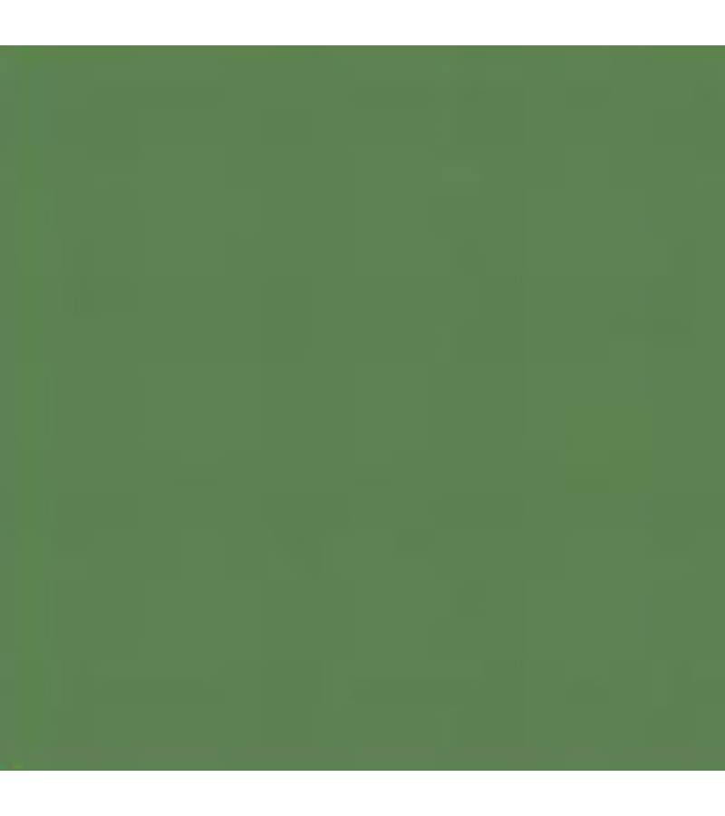 PATINATOR WEATHERING POWER PA09 GRASS GREEN