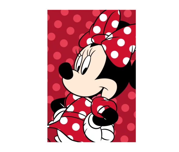 Minnie Blanket