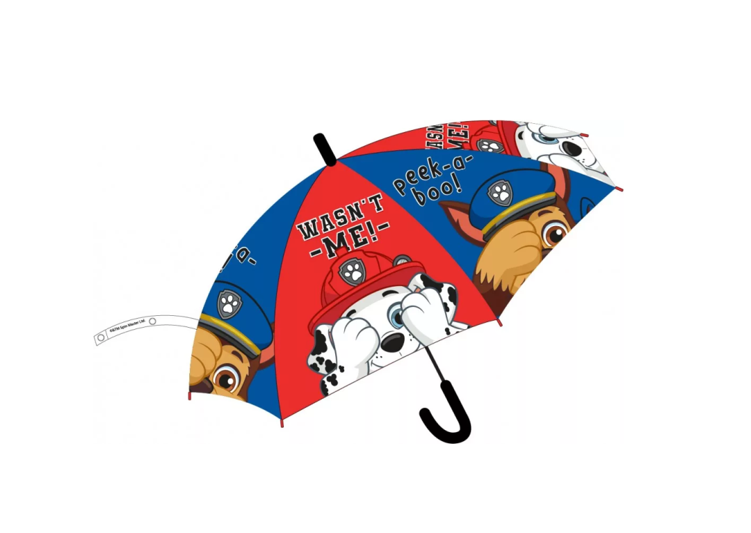 PAW Patrol Transparent Umbrella – Boys Blue Cartoon PVC – School Kids Rain Gear