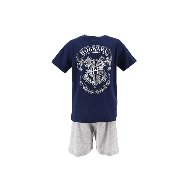 Harry Potter Girls Pajamas Hogwarts, Blue