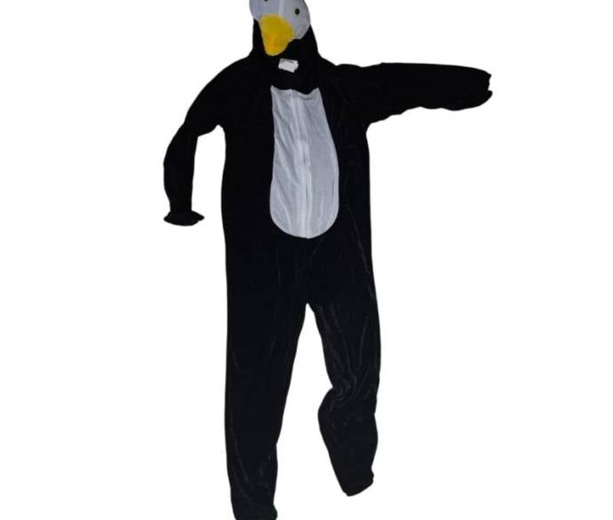 Baby Penguin Costume