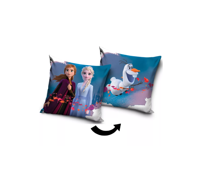 Frozen Cushion Cover
