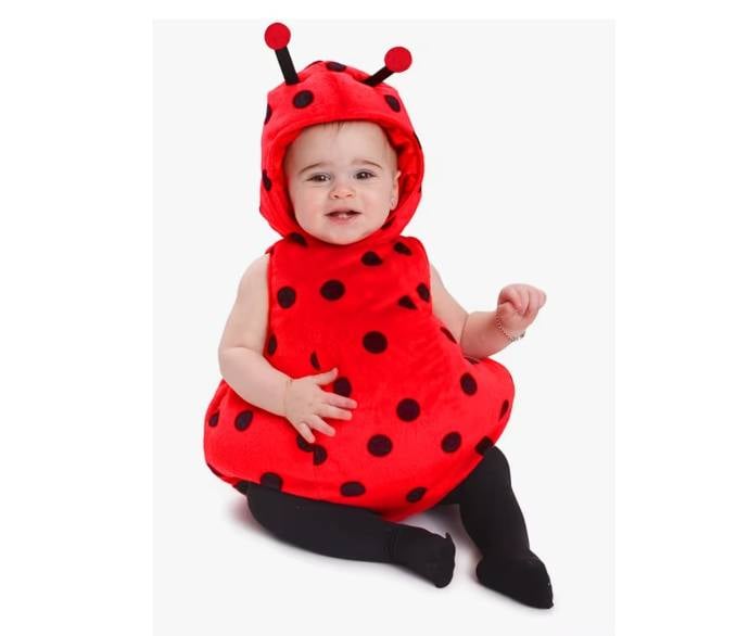 Ladybug Costume