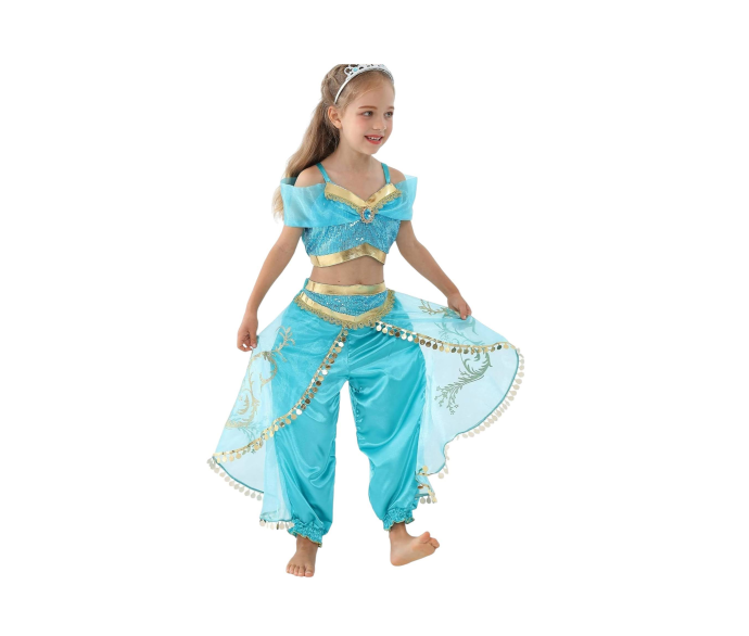 Arabian Princess Costume