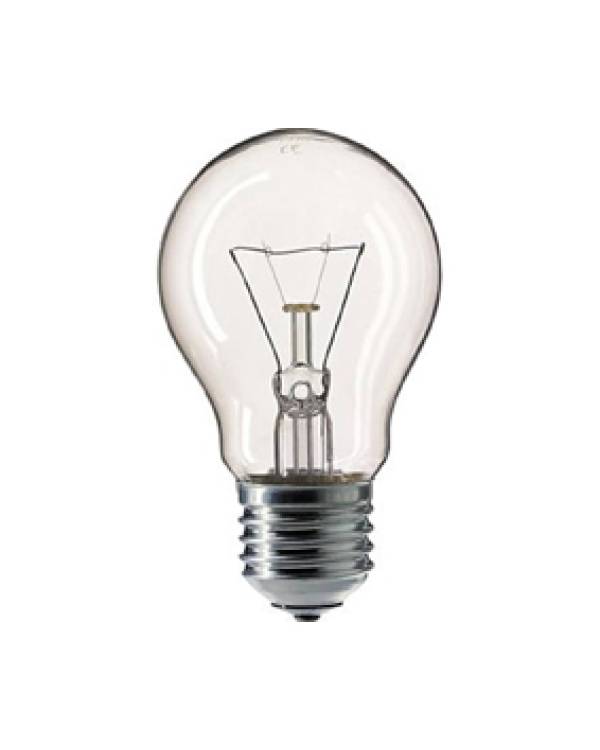24V BALLSHAPE CLEAR E27 25W Incandescent Lamp