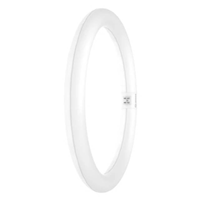 LED ROUND TUBE 18.3W= 32W 6500K D/LIGHT G10Q