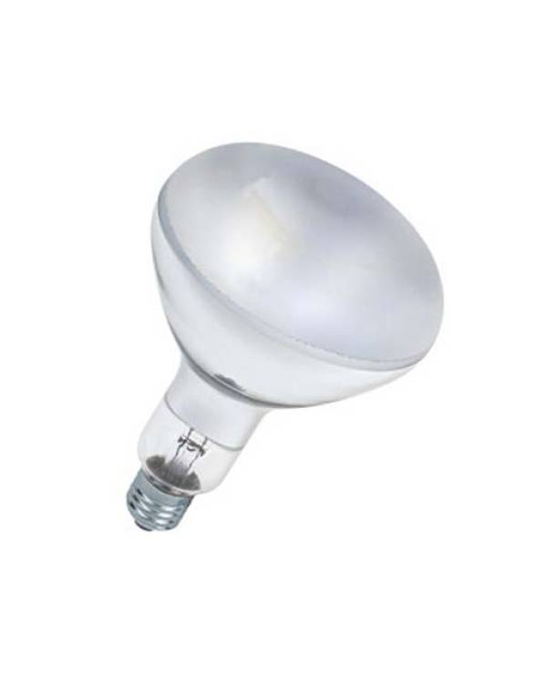230V ULTRA VITALUX E27 FRS GLS 300w (Bx6)