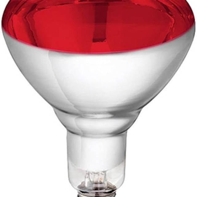 240V INFRA-RED LAMP RED GLASS E27 150W