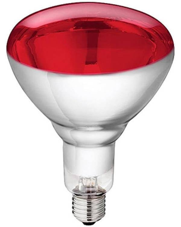 240V INFRA-RED LAMP RED GLASS E27 150W