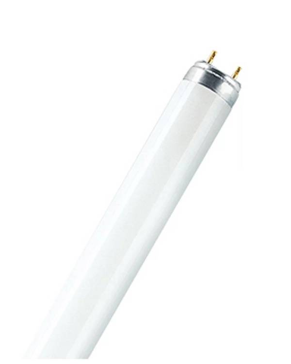 FL.TUBE T8 36w 73 BLACK (Bx20)