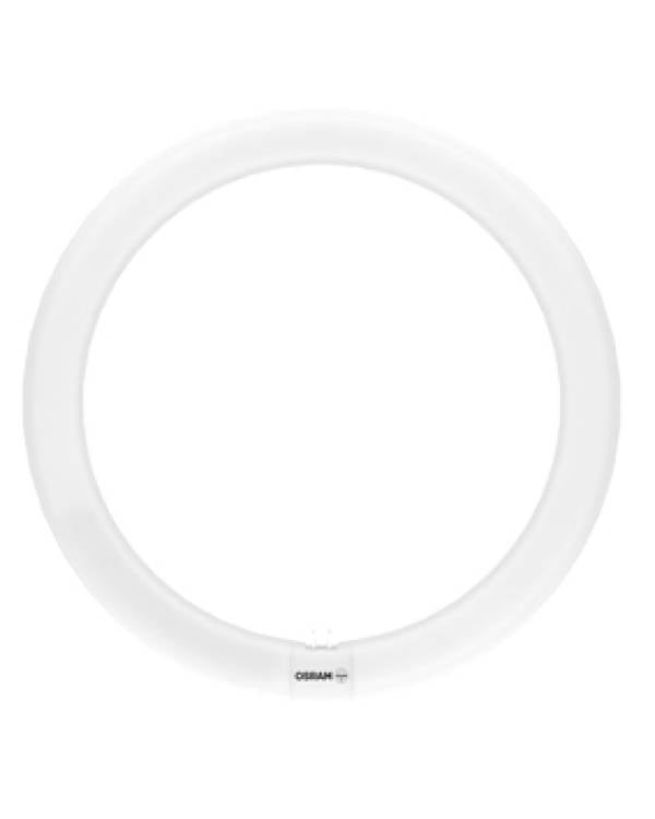 LED ROUND TUBE 18.3W=32W 6500K D/LIGHT G10Q (Bx10)