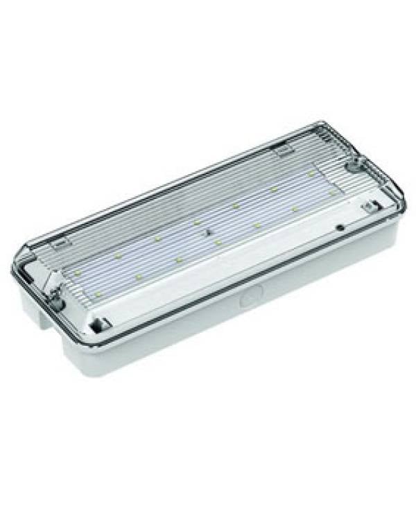 16 LED IP65 3HR MAINT & NON MAINT EMG LIGHT 2.5W