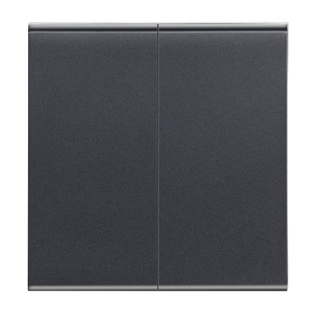 BROADWAY BLACK SW FL 2G 2W  (Bx10) FACEPLATES