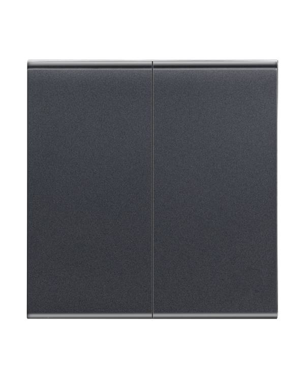 BROADWAY BLACK SW FL 2G 2W  (Bx10) FACEPLATES