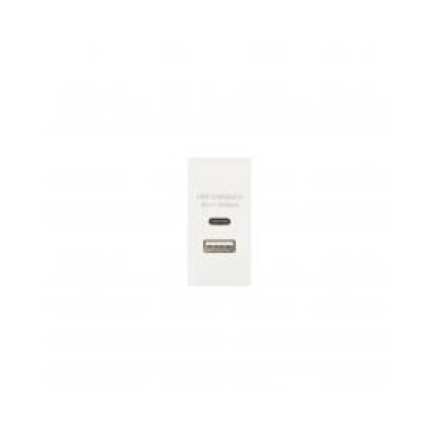 PROFILE+ WHITE USB A+C 25x50 CHARGER MODULE