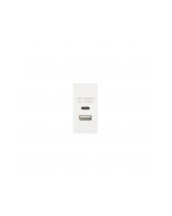 PROFILE+ WHITE USB A+C 25x50 CHARGER MODULE